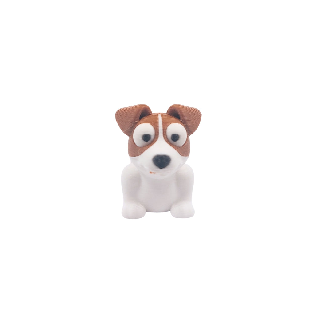 Jack Russel Terrier