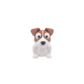 Jack Russel Terrier