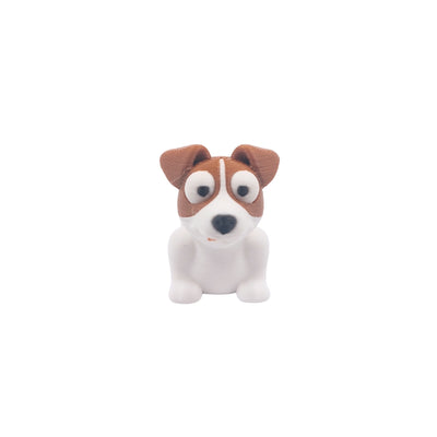 Jack Russel Terrier