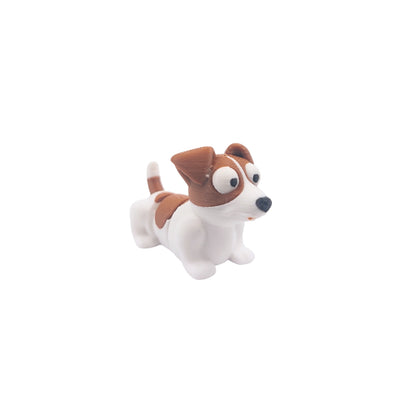 Jack Russel Terrier