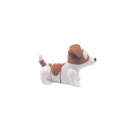 Jack Russel Terrier