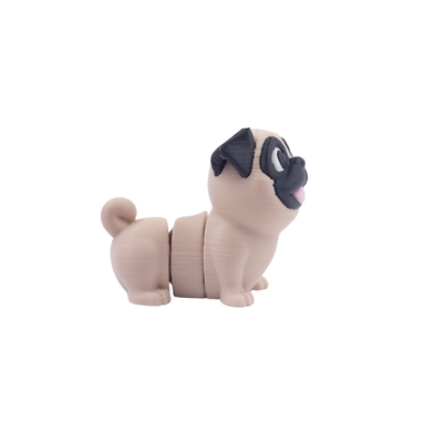 Pug