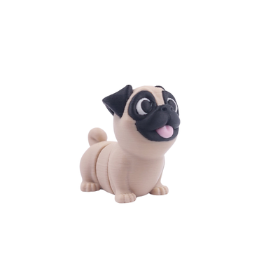 Pug
