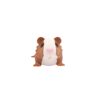 Porquinho da Índia Paçoca