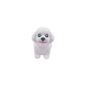 Poodle
