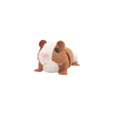 Porquinho da Índia Paçoca