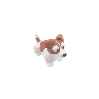 Jack Russel Terrier